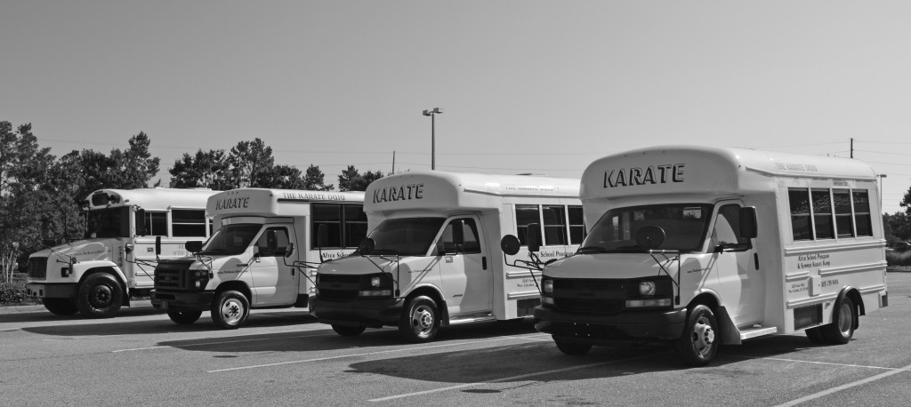 Dojo Buses (2015)